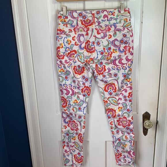 Anthropologie Floral Cottagecore Garden Pilcro Mid-Rise Skinny Jeans W-210 Sz 27 - Picture 9 of 13